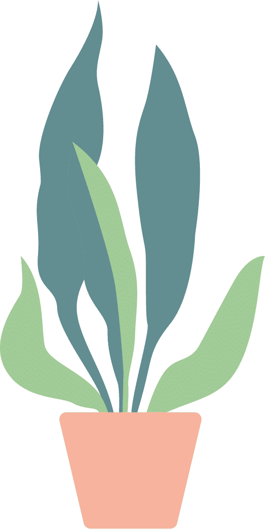 TYHO counselling sessions